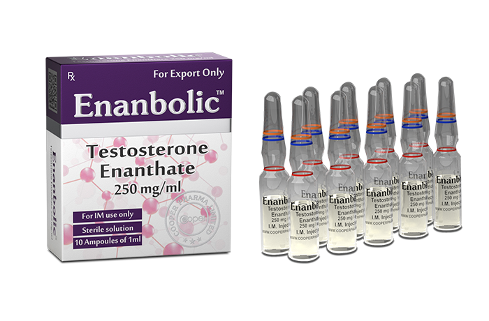 Cooper Pharma ENANBOLIC Ampul (Testosterone Enanthate)